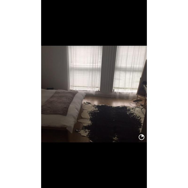 Authentic cow hide rug - black and white