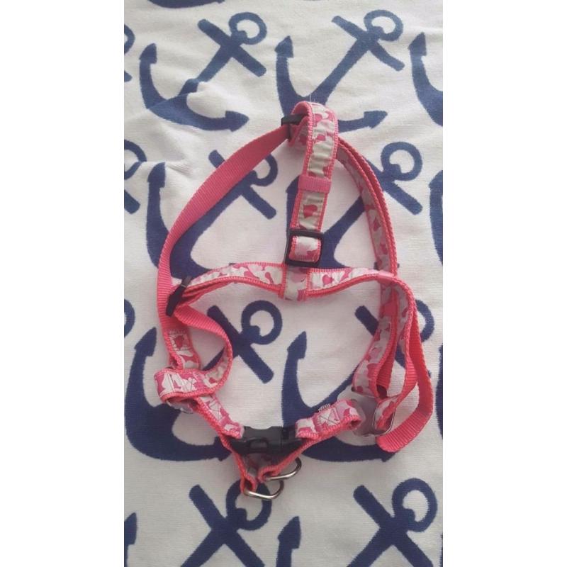 PINK CAMOUFLAGE DOG HARNESS & LEASH