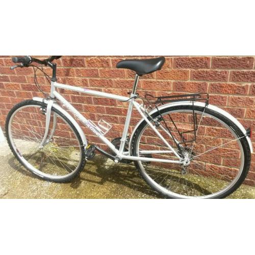 Hybrid bicycle
