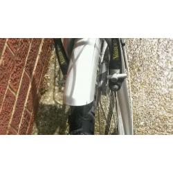 Hybrid bicycle