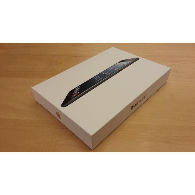 iPad mini 16GB WIFI only