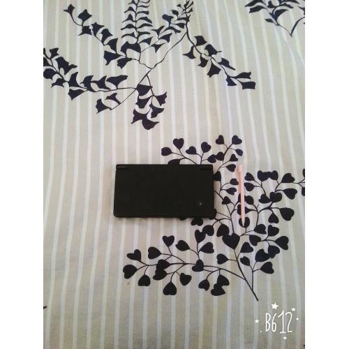 Nintendo Ds