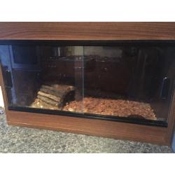 Chilean rose tarantula & vivarium
