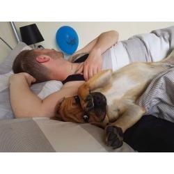 Puppy 9 months old