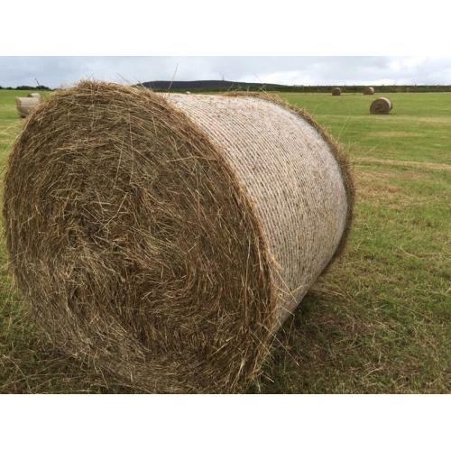 Hay for sale