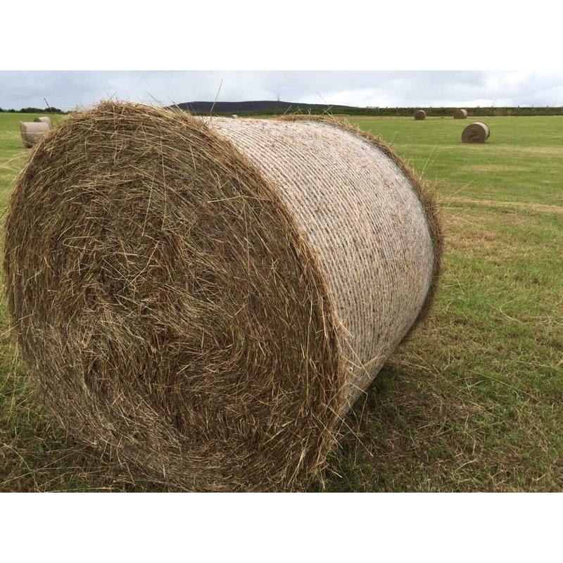 Hay for sale
