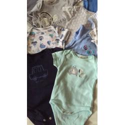 0-3 month vests