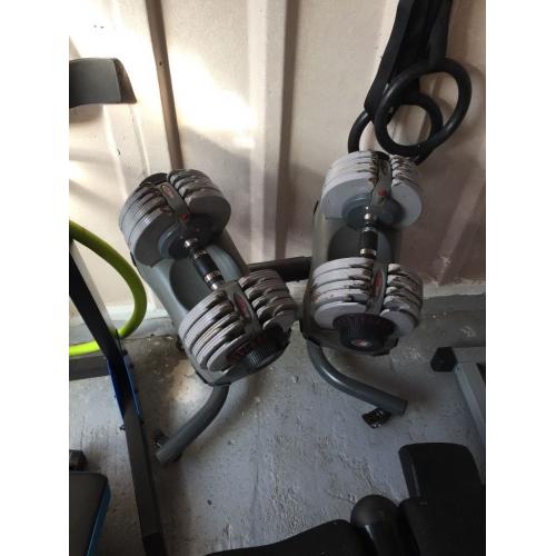 2x adjustable dumbbells with stand