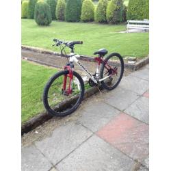 Barracuda Colt boys mountain bike