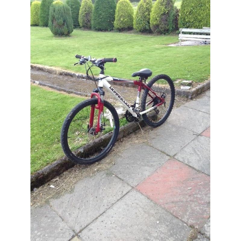 Barracuda Colt boys mountain bike