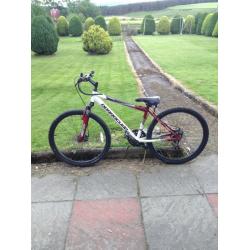 Barracuda Colt boys mountain bike