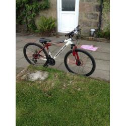Barracuda Colt boys mountain bike