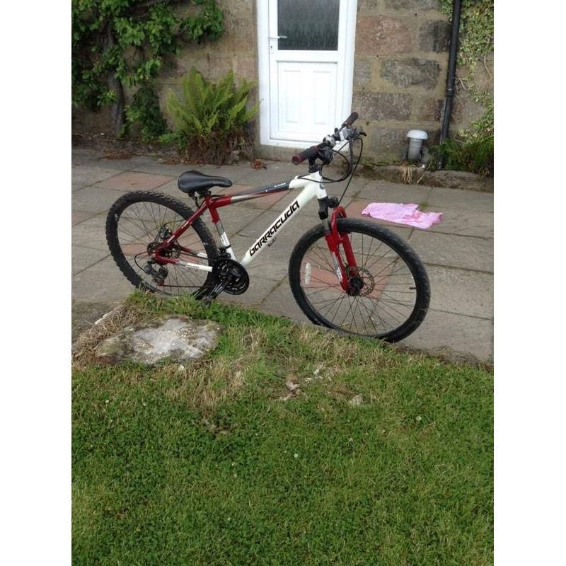 Barracuda Colt boys mountain bike