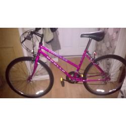 ladies Apollo bike