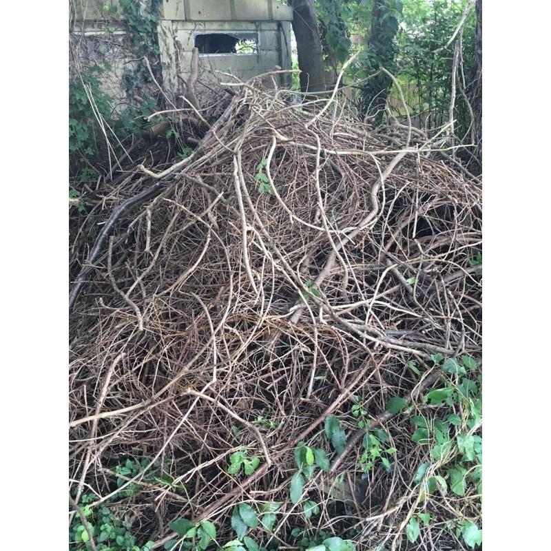 Free wood - kindling