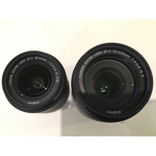 Pair Canon EFS zoom lenses