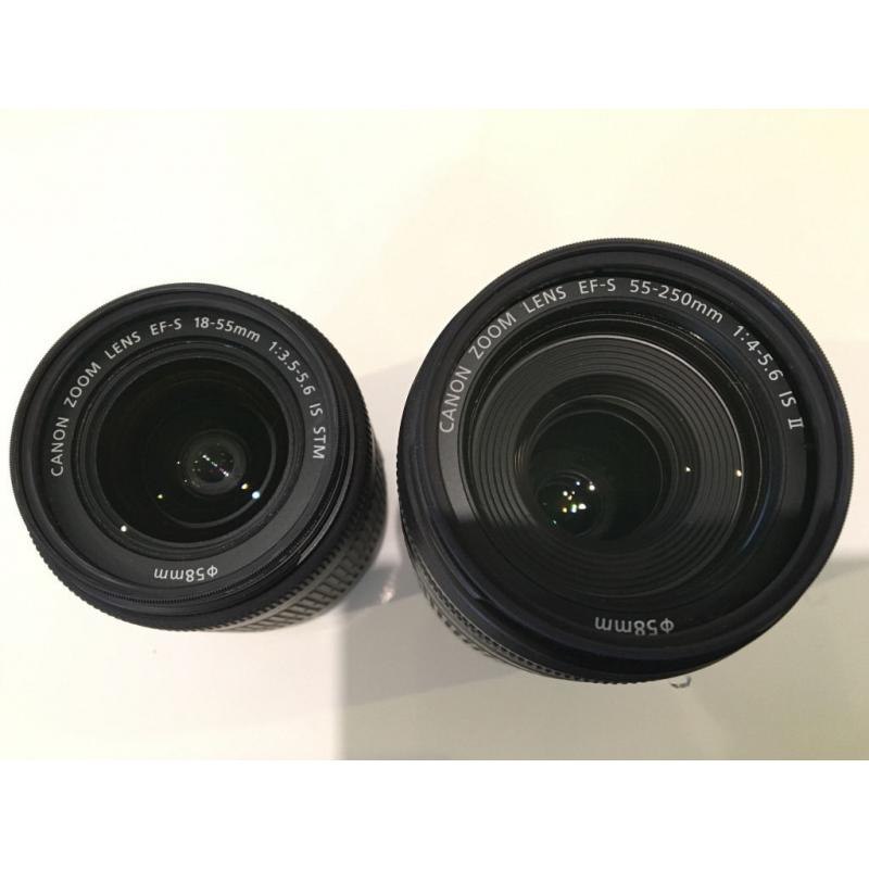 Pair Canon EFS zoom lenses