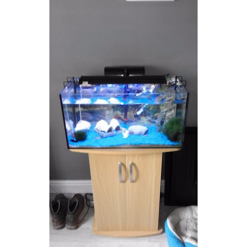 90 litre fish tank and unit