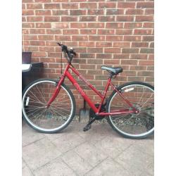 Bikes for sale