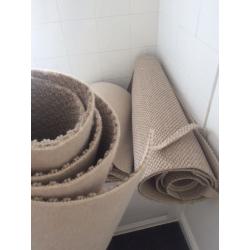 Lots of carpet off cuts