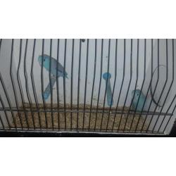 Parollets
