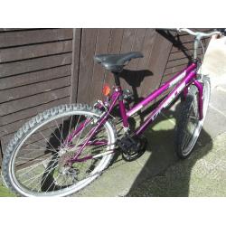 FOR SALE LADIES BIKE BICYCLE CYCLE MOUNTAIN BIKE NOT CAR SCOOTER COOKER FRIDGE BUGGY