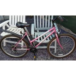 Women's Mountain Bike
