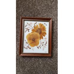 3-Vintage-Pressed-DRIED-FLOWER-Wood-Picture-Frame