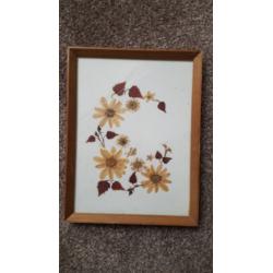 3-Vintage-Pressed-DRIED-FLOWER-Wood-Picture-Frame