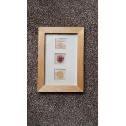3-Vintage-Pressed-DRIED-FLOWER-Wood-Picture-Frame