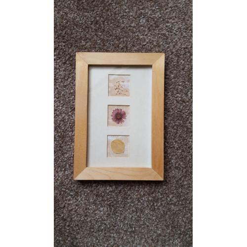 3-Vintage-Pressed-DRIED-FLOWER-Wood-Picture-Frame