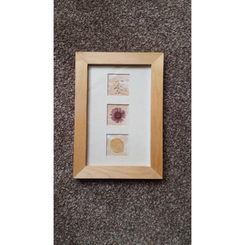 3-Vintage-Pressed-DRIED-FLOWER-Wood-Picture-Frame