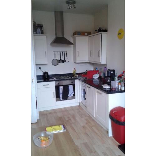 Nice double room in Morningside