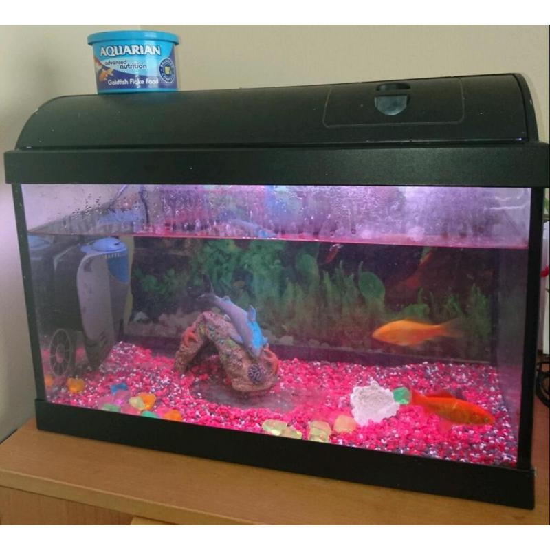Fish Tank with Goldfish and accessories included.