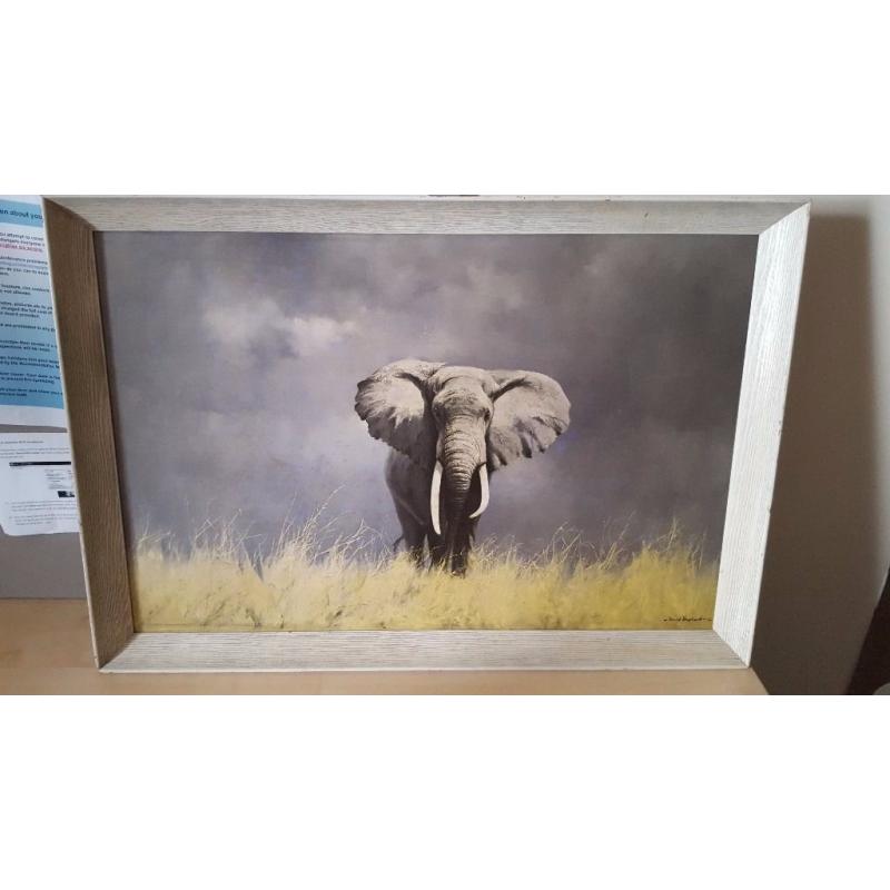 David Shepherd "Wise Old Elephant" framed print for sale