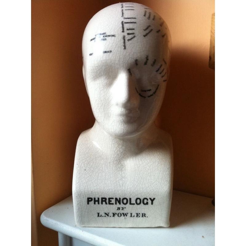 Phrenology Head