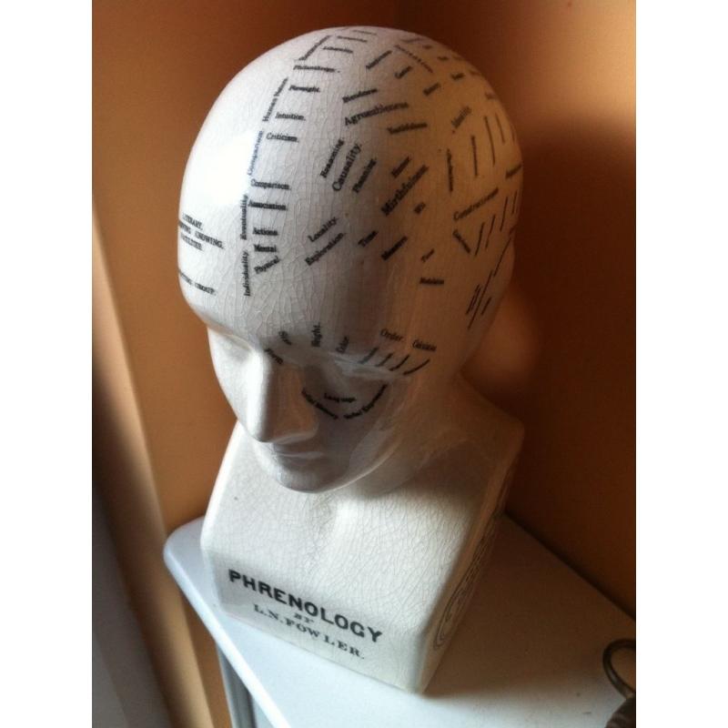 Phrenology Head