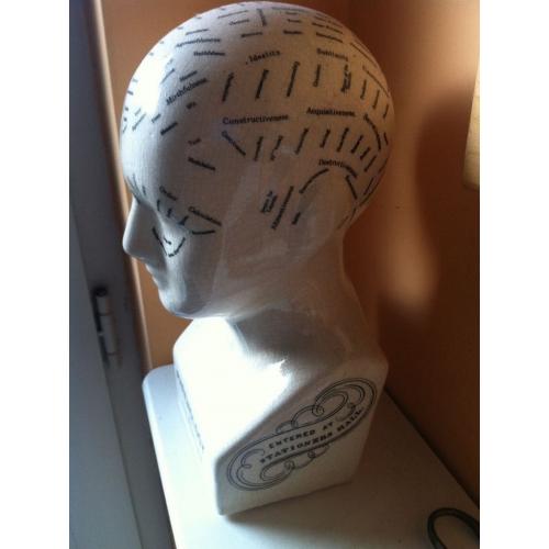 Phrenology Head
