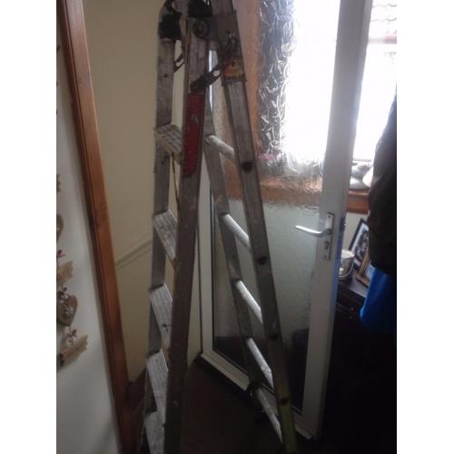 Ladders 3 in 1