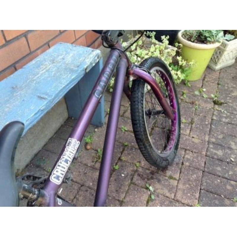 Cadet purple bmx