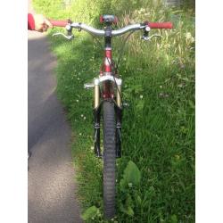 orange mountain bike