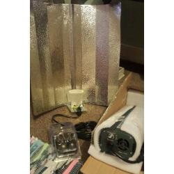 1000w digital ballast grow light set