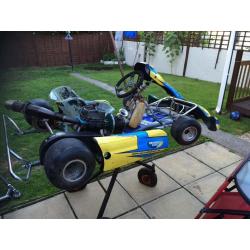 Tkm 100cc go kart