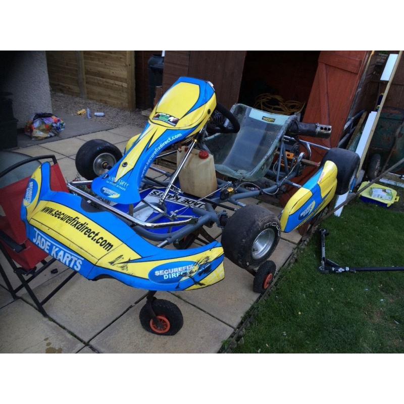 Tkm 100cc go kart