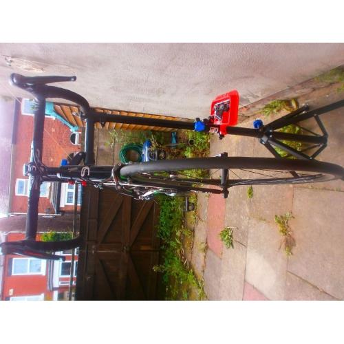 Dolan L'etape Carbon 6 months old