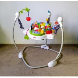 Fisher-Price Discover and Grow Jumperoo