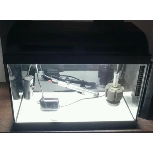Fish tank