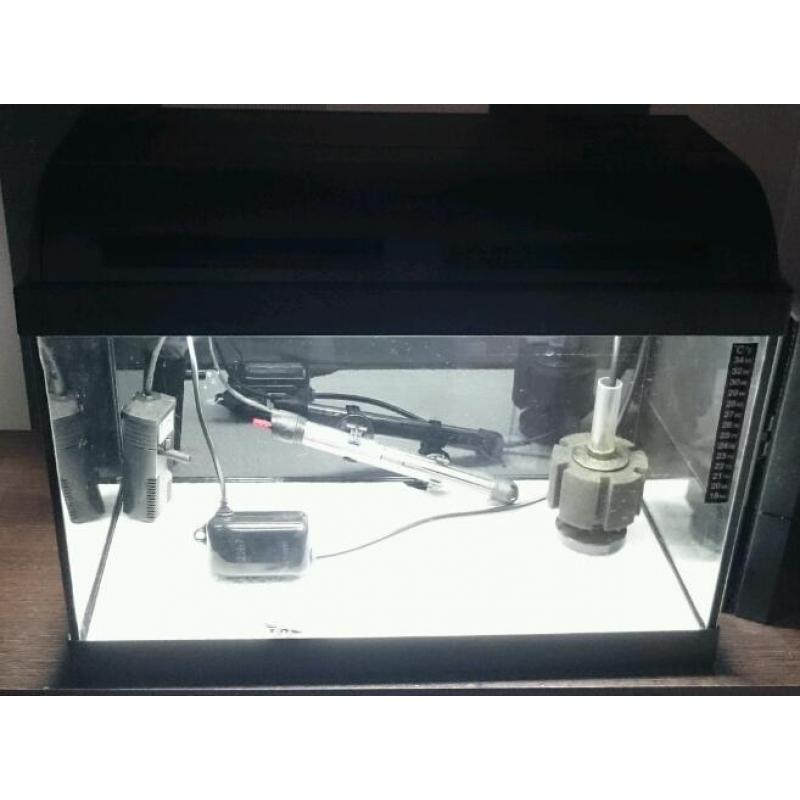 Fish tank