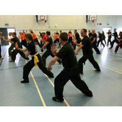 Beginners Kung Fu