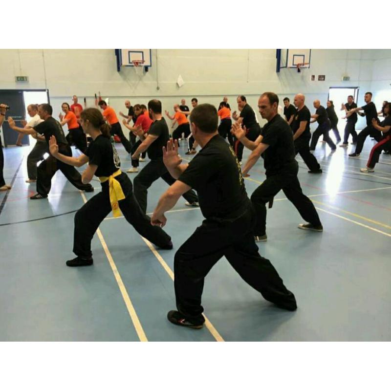 Beginners Kung Fu